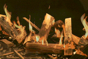 Flamerite Fires E-Ridium 60